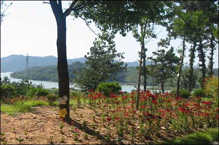 울타리 없는 목행초등학교, 학교 화단 너머 달래강이 보인다. 